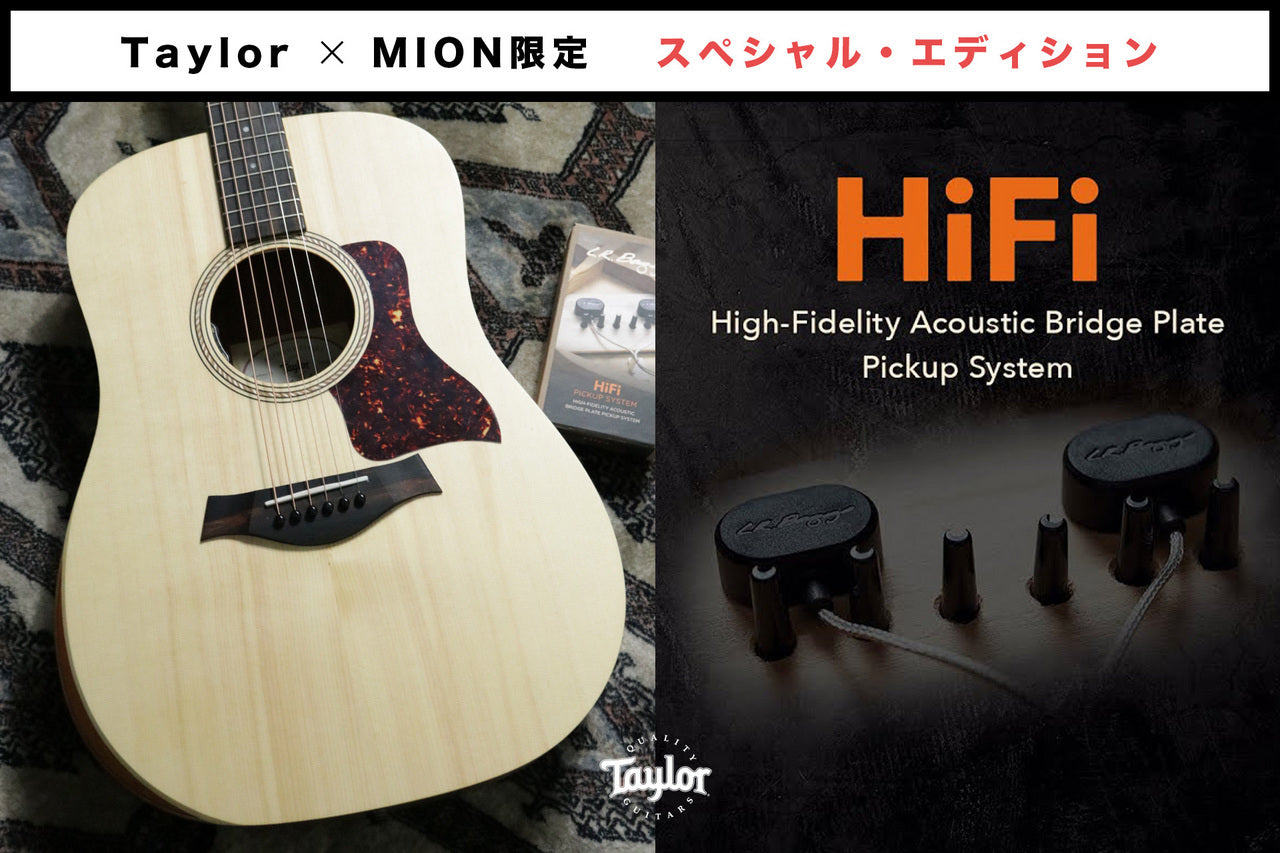 Taylor Academy 10 Special Edition by MION [Taylor authorized repair man store]