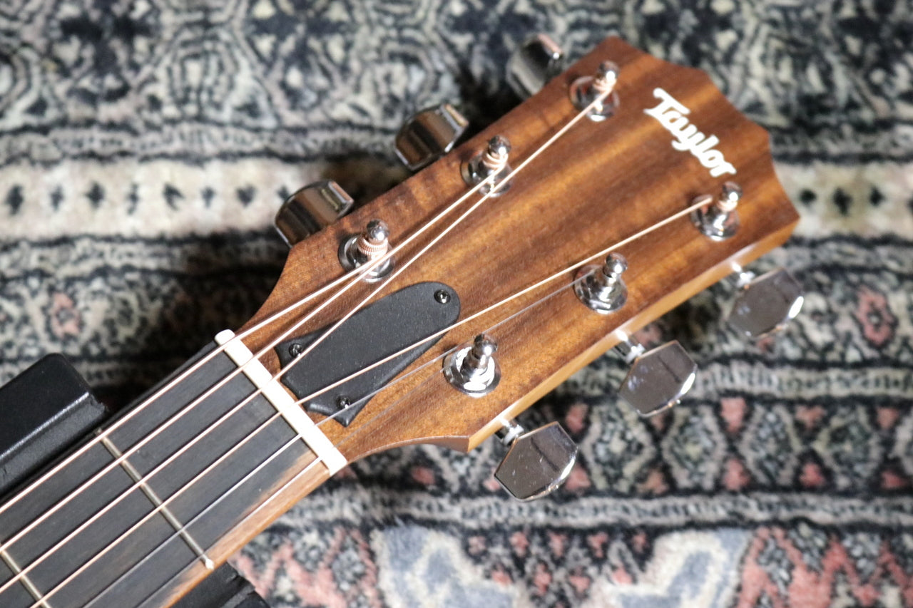 Taylor Academy 10 Special Edition by MION [Taylor authorized repair man store]