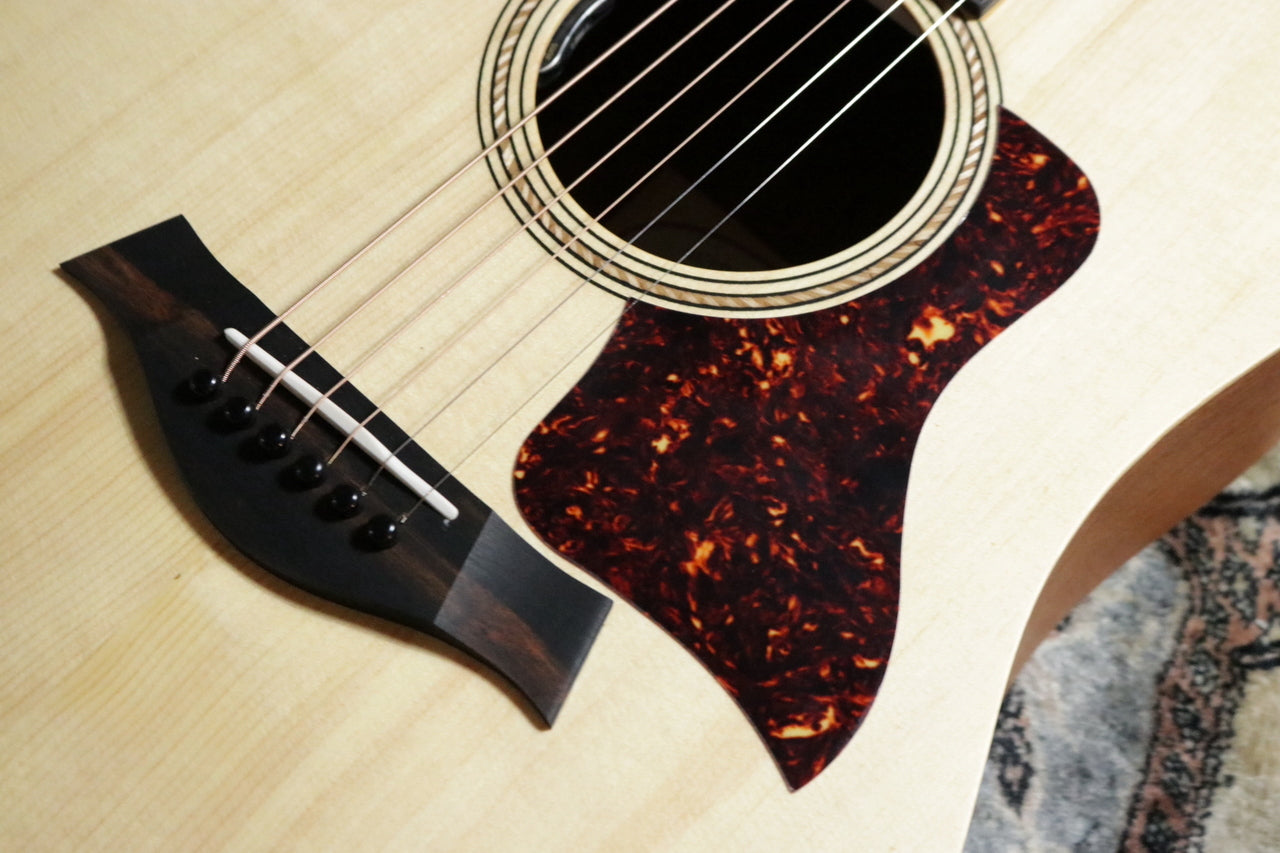 Taylor Academy 10 Special Edition by MION [Taylor authorized repair man store]