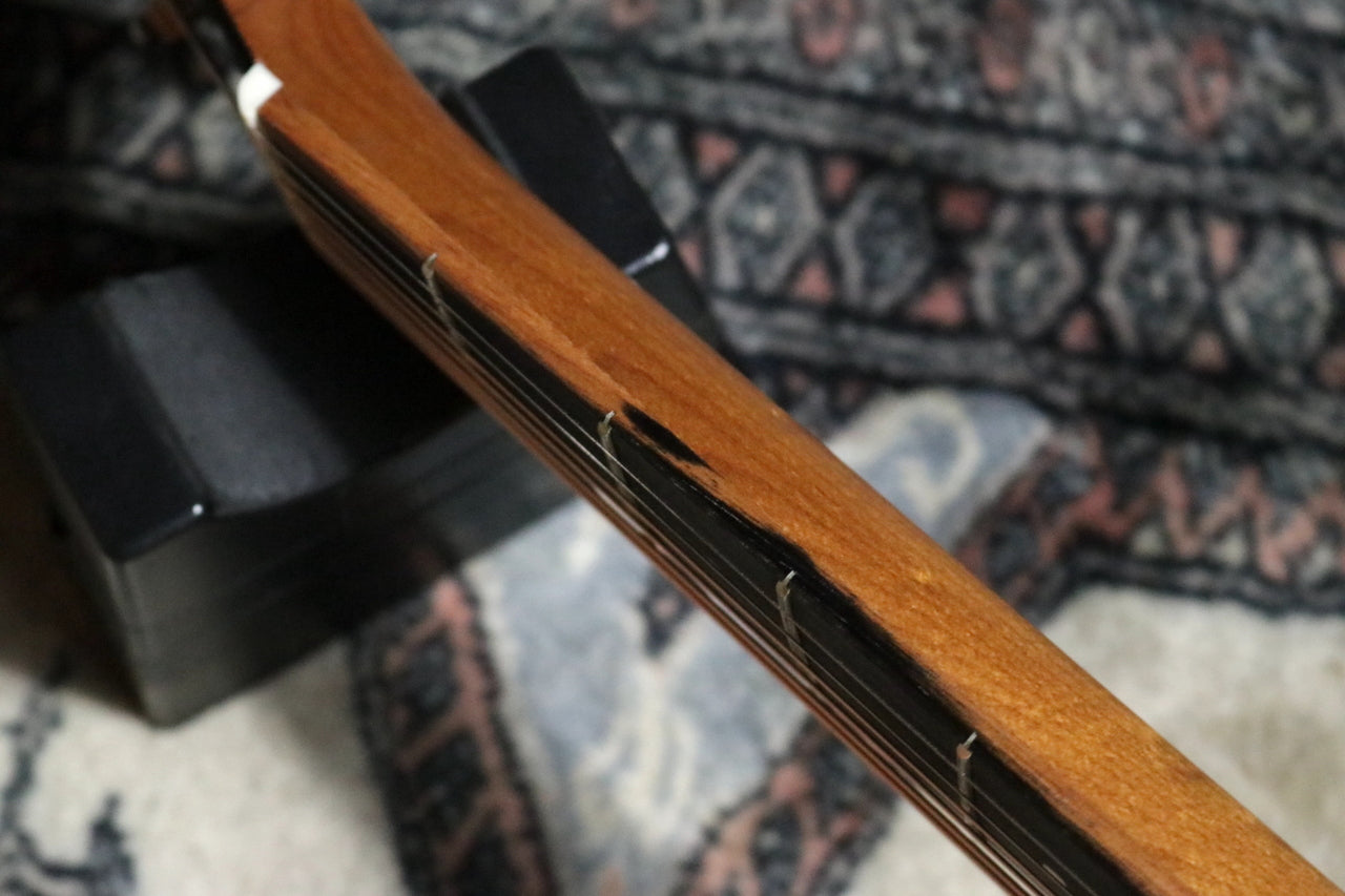 Taylor Academy 10 Special Edition by MION [Taylor authorized repair man store]