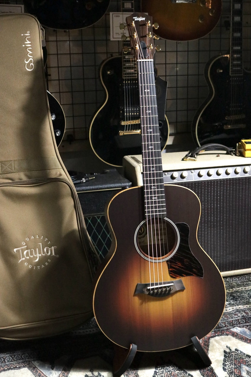 Taylor 50 Anniversary GS Mini-e Rosewood SB LTD [Taylor authorized repair man store]