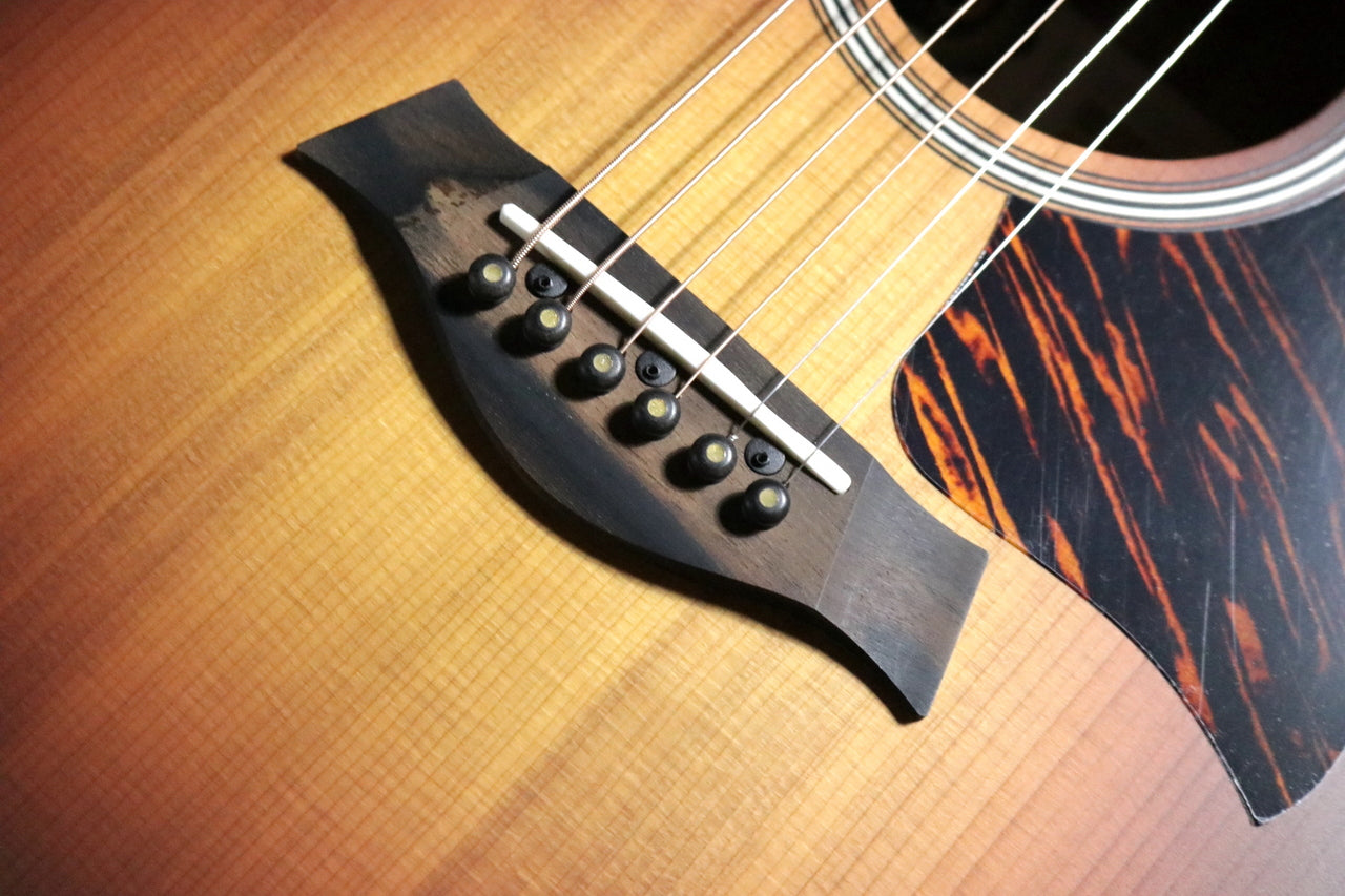 Taylor 50 Anniversary GS Mini-e Rosewood SB LTD [Taylor authorized repair man store]