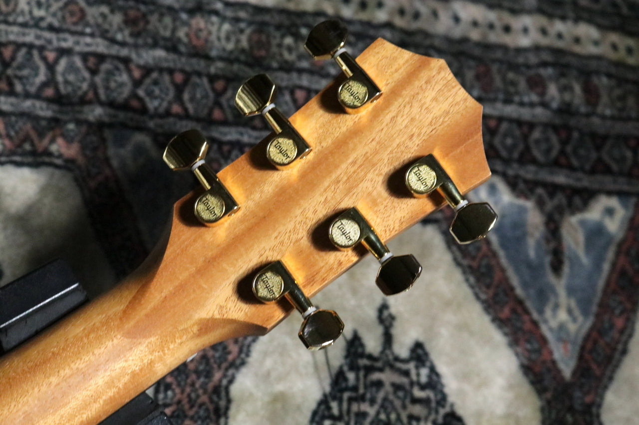 Taylor 50 Anniversary GS Mini-e Rosewood SB LTD [Taylor authorized repair man store]