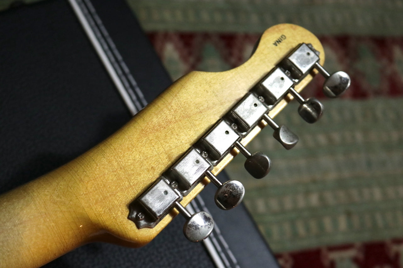 Eric Daw Custom Guitars [Preview video available] #237 "GINA" TL Sherwood Green