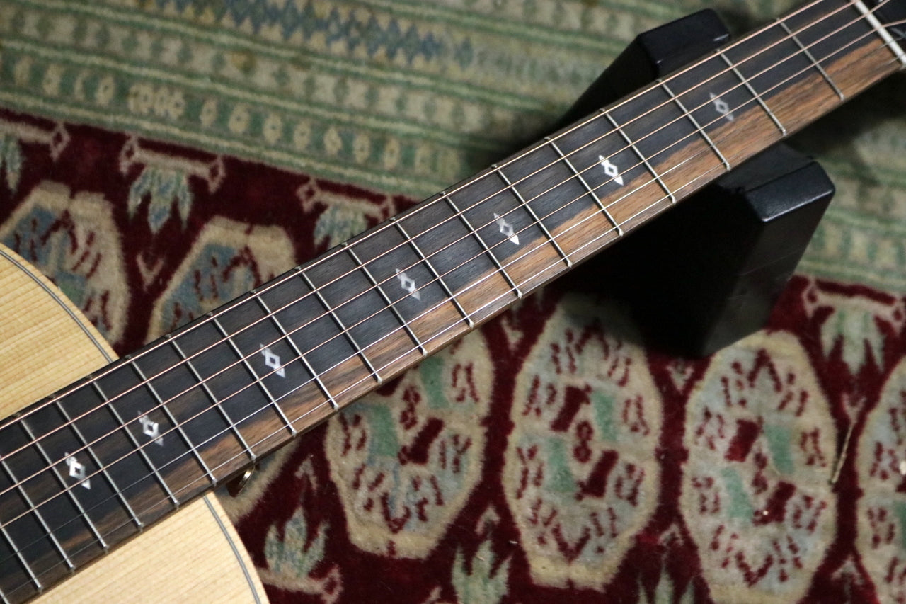 Taylor 50 Anniversary GS Mini-e Rosewood Natural LTD [Taylor authorized repair man store]