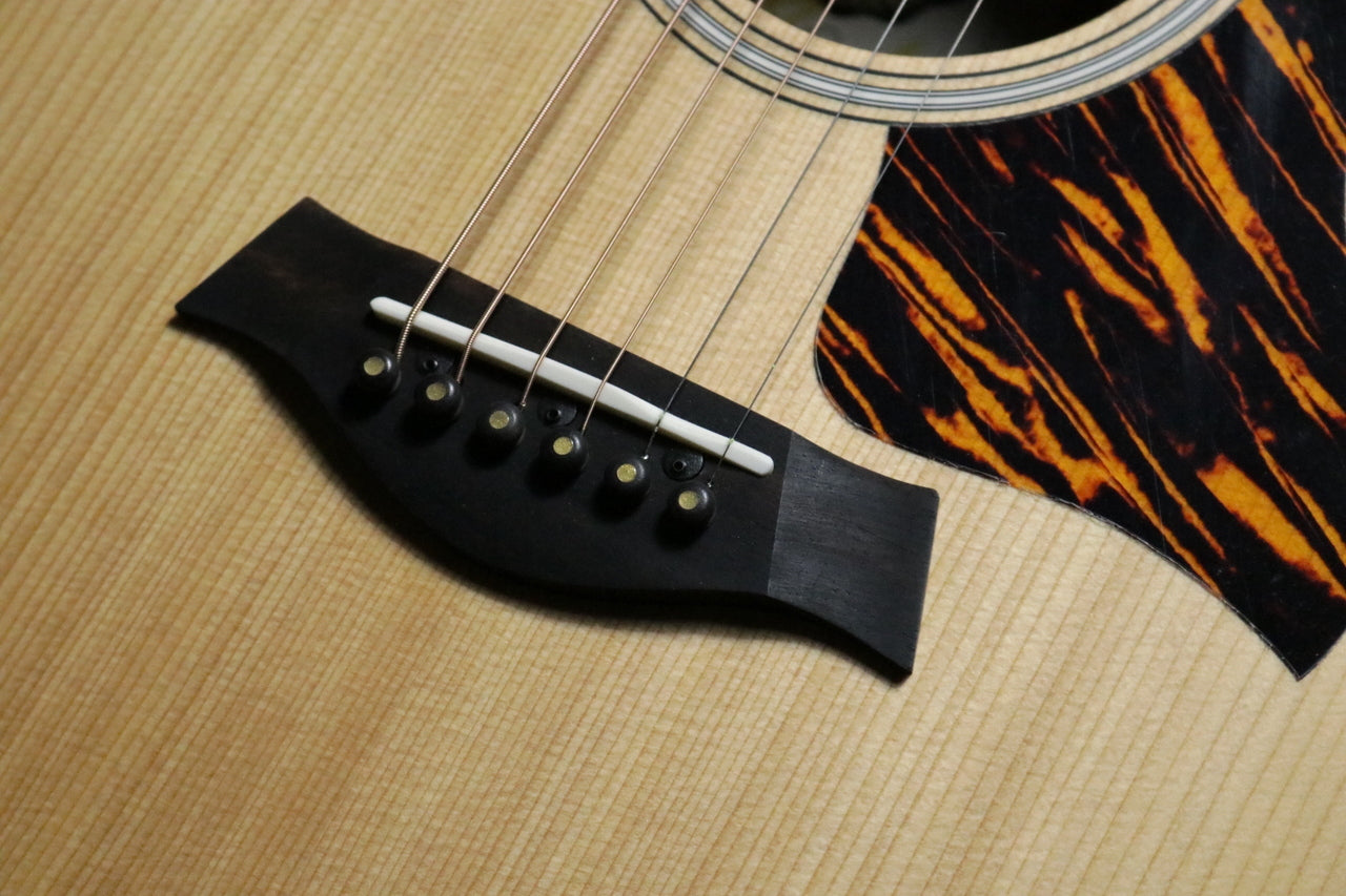 Taylor 50 Anniversary GS Mini-e Rosewood Natural LTD [Taylor authorized repair man store]