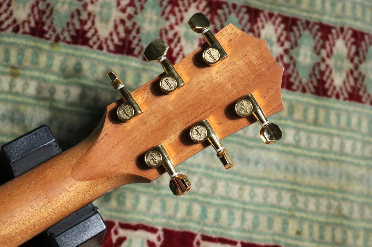 Taylor 50 Anniversary GS Mini-e Rosewood Natural LTD [Taylor authorized repair man store]