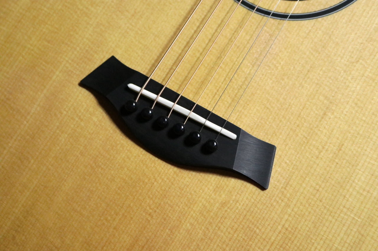 Taylor BT1 (Baby Taylor Walnut) [Taylor authorized repair man store]