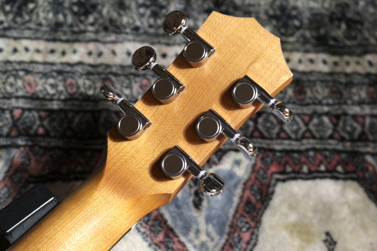 Taylor BT1 (Baby Taylor Walnut) [Taylor authorized repair man store]