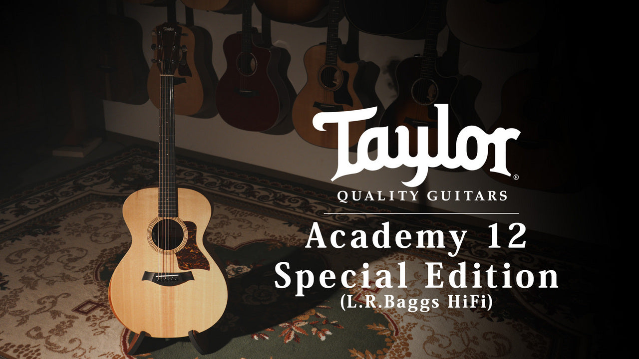 Taylor Academy 12 Special Edition by MION [Taylor authorized repair man store]