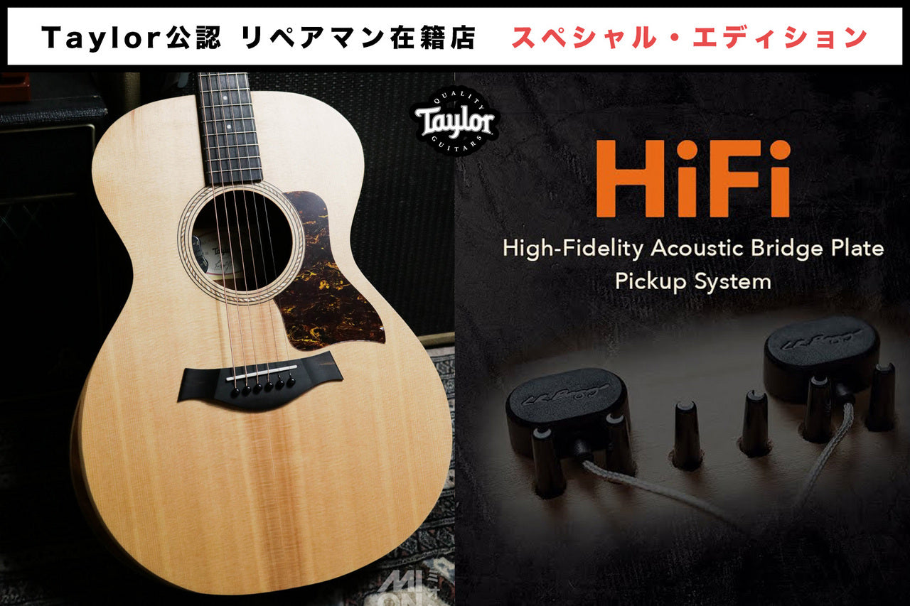 Taylor Academy 12 Special Edition by MION [Taylor authorized repair man store]
