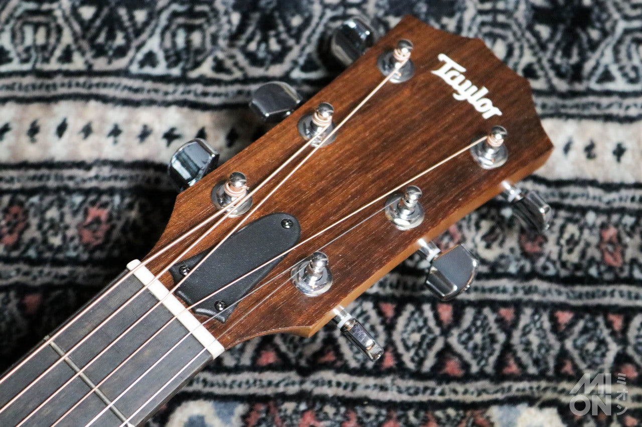 Taylor Academy 12 Special Edition by MION [Taylor authorized repair man store]