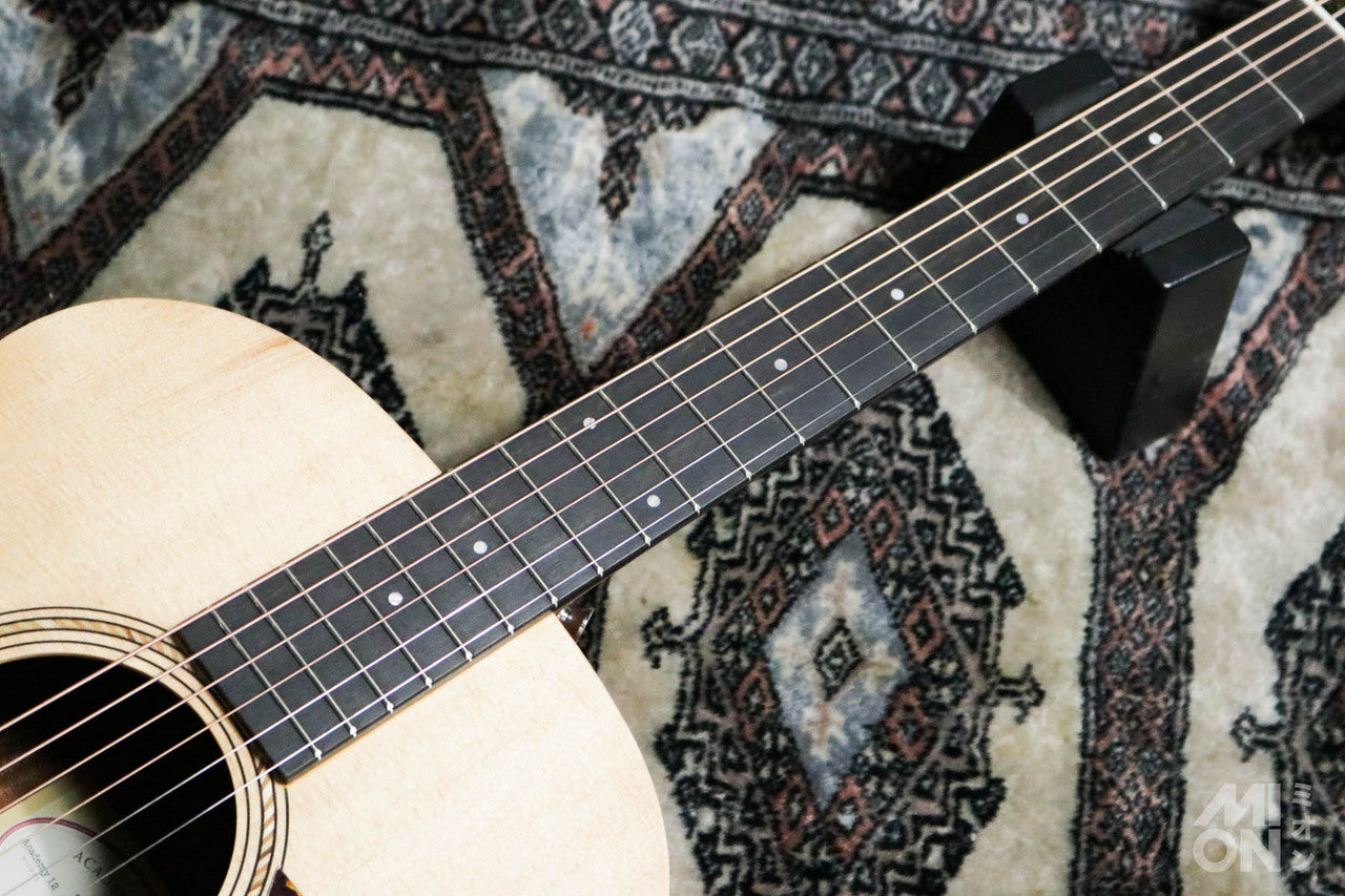 Taylor Academy 12 Special Edition by MION [Taylor authorized repair man store]