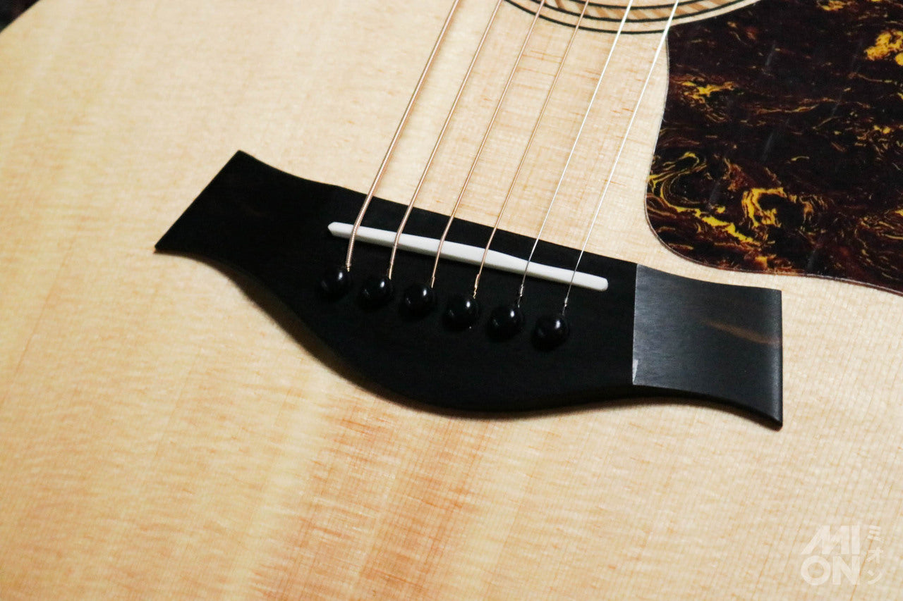 Taylor Academy 12 Special Edition by MION [Taylor authorized repair man store]
