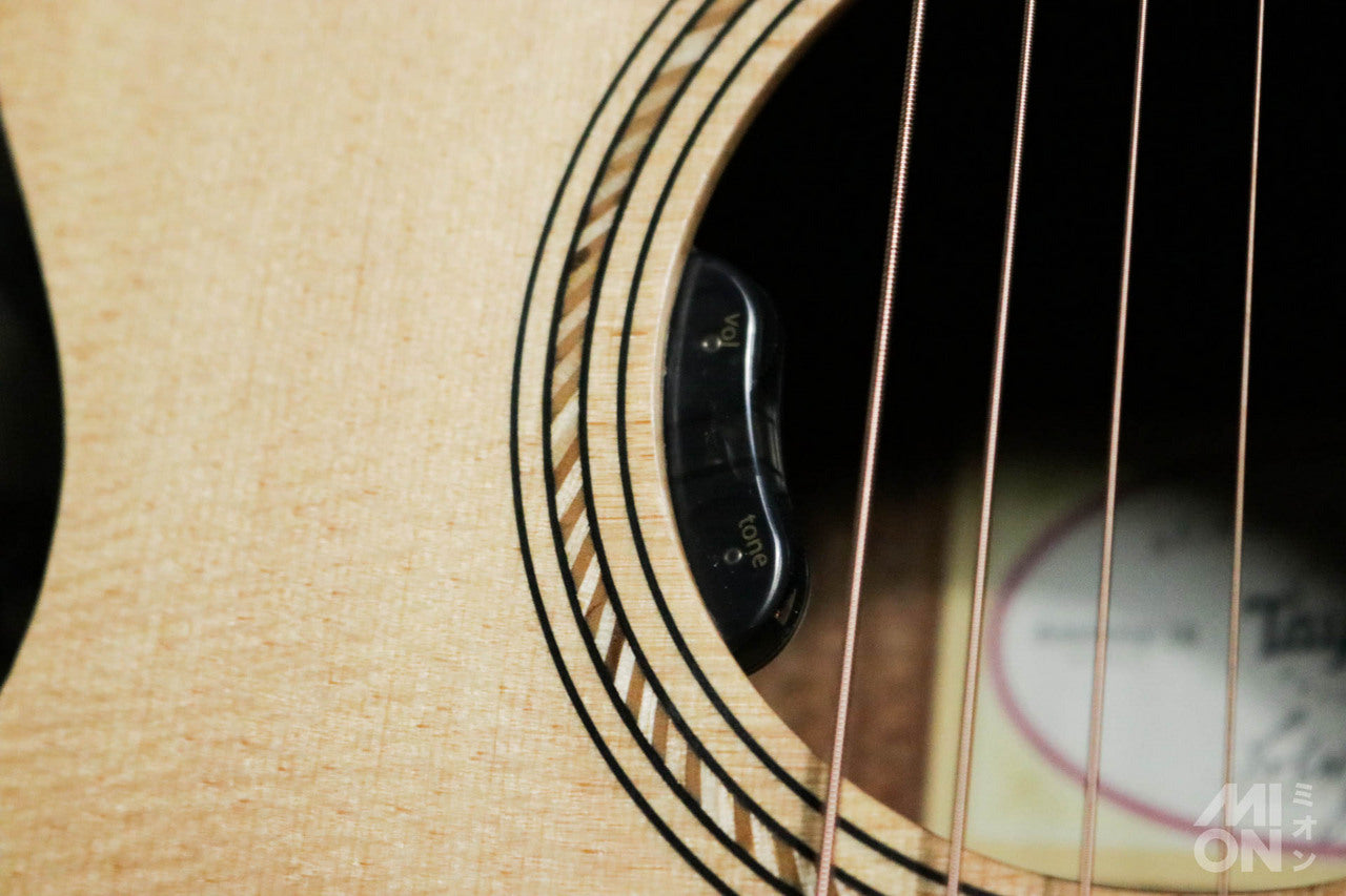 Taylor Academy 12 Special Edition by MION [Taylor authorized repair man store]