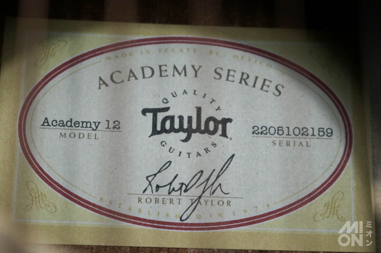 Taylor Academy 12 Special Edition by MION [Taylor authorized repair man store]
