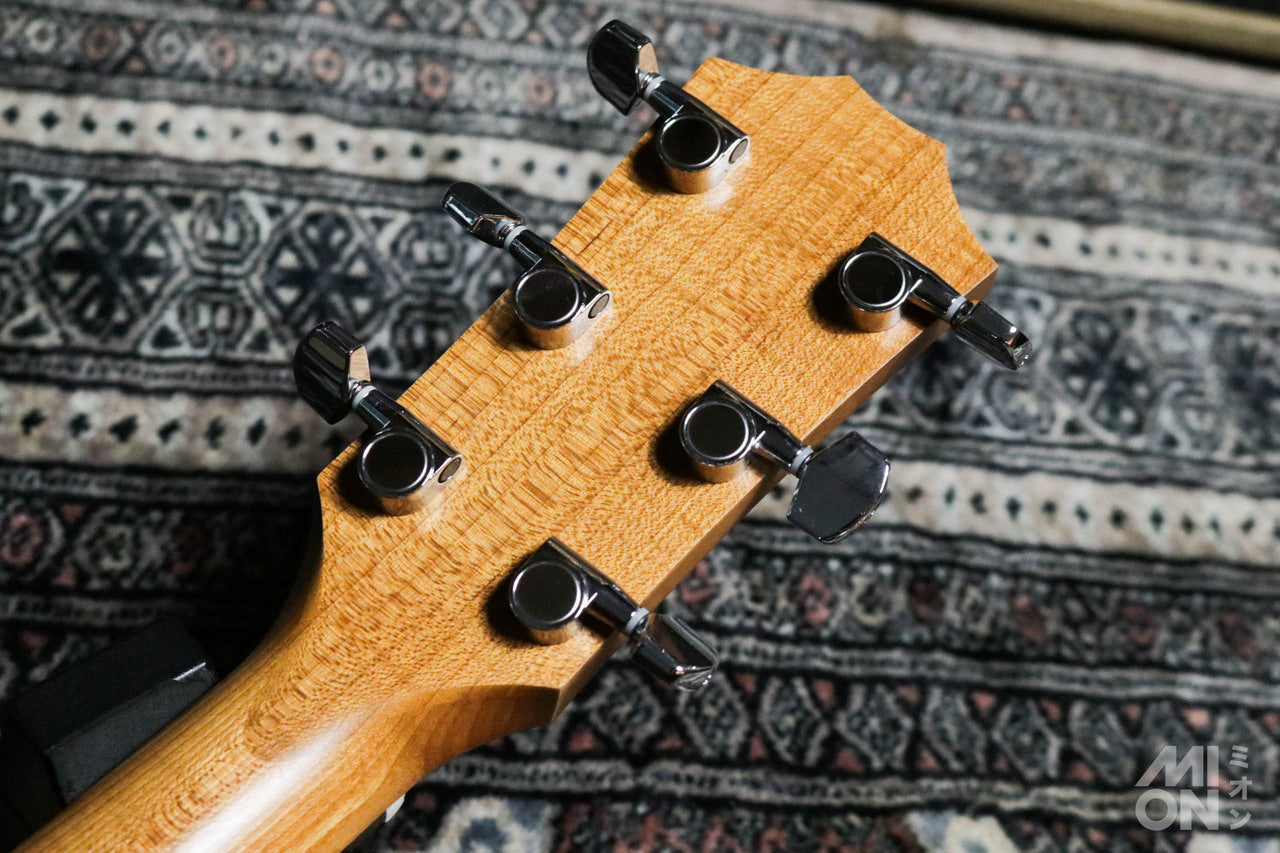 Taylor Academy 12 Special Edition by MION [Taylor authorized repair man store]