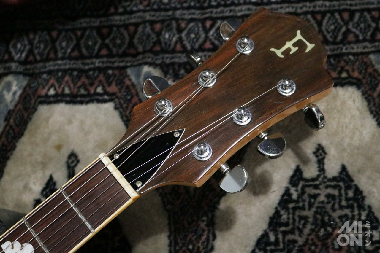 FERNANDES MG-70X