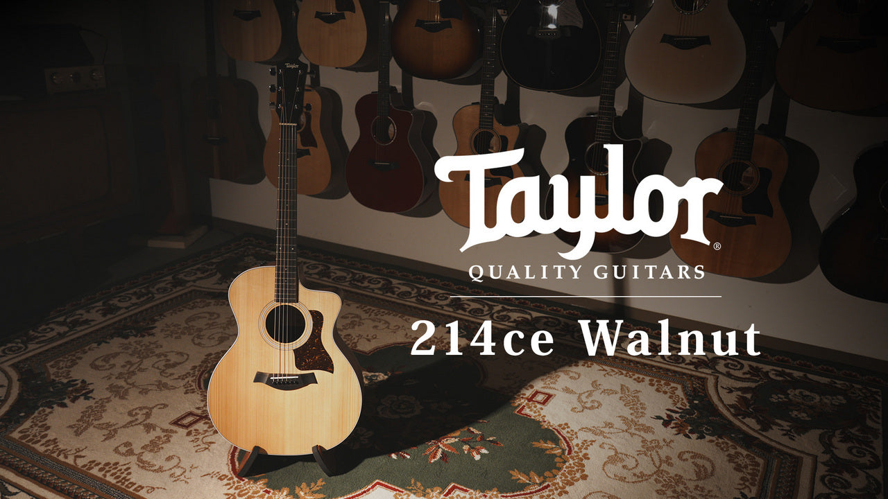 Taylor [Trial video available] 214ce Walnut [Taylor authorized repair man store]