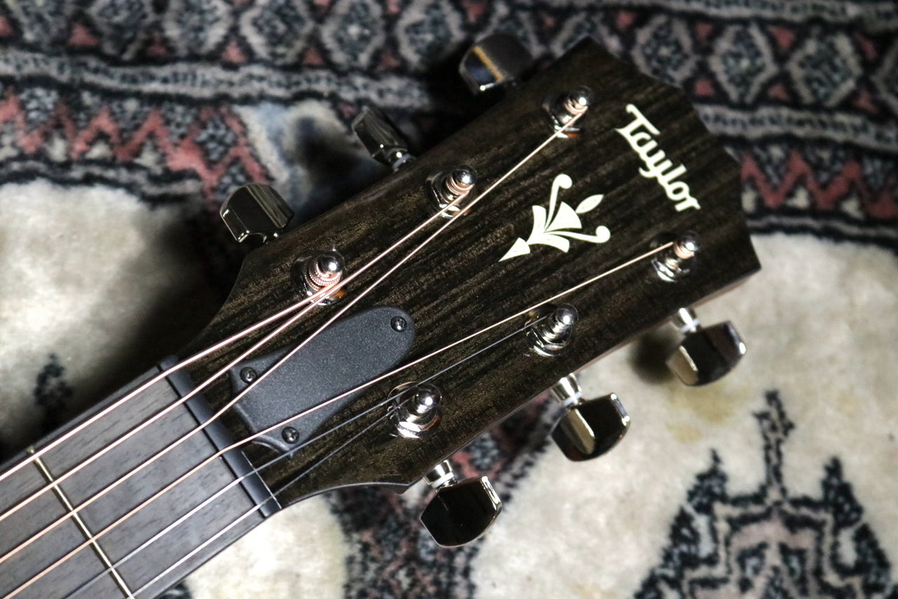 Taylor [Trial video included] 512ce V-Class [Taylor authorized repair man]