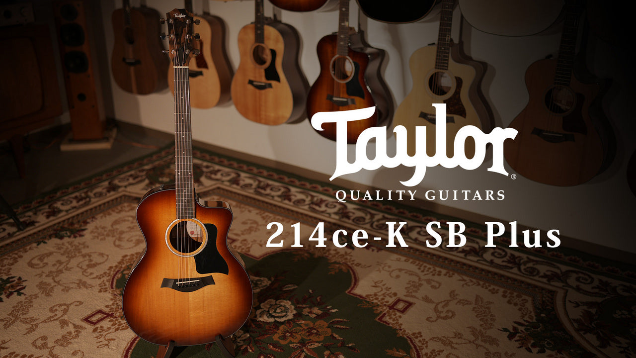 Taylor [Trial video available] 214ce-K SB Plus [Taylor certified repair man store]