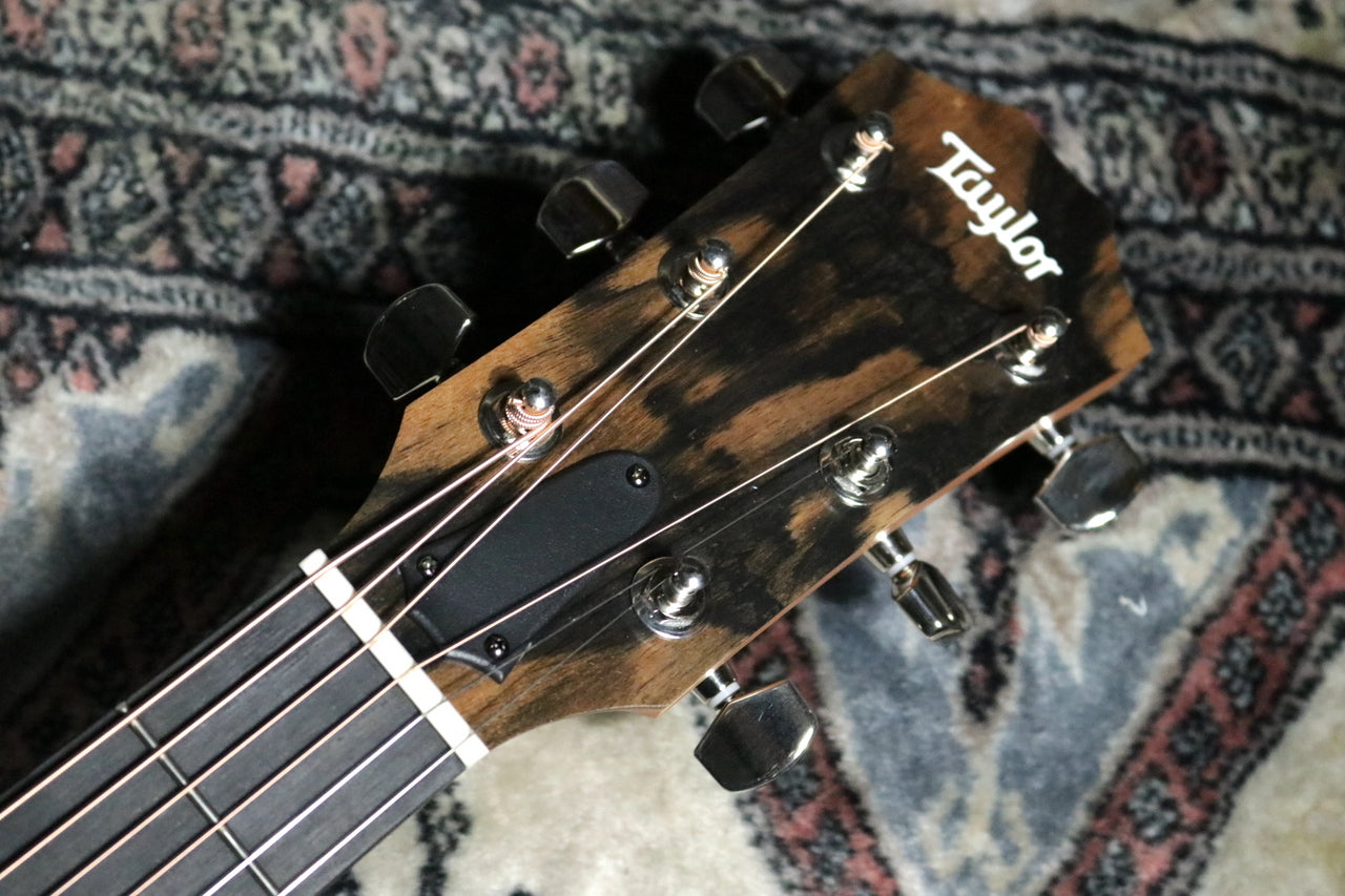 Taylor [Trial video available] 214ce-K SB Plus [Taylor certified repair man store]