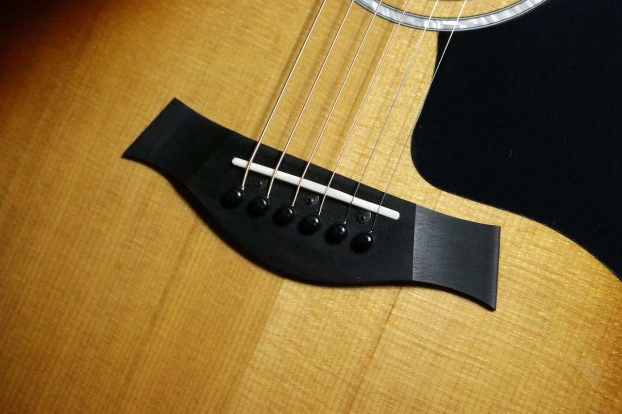 Taylor [Trial video available] 214ce-K SB Plus [Taylor certified repair man store]