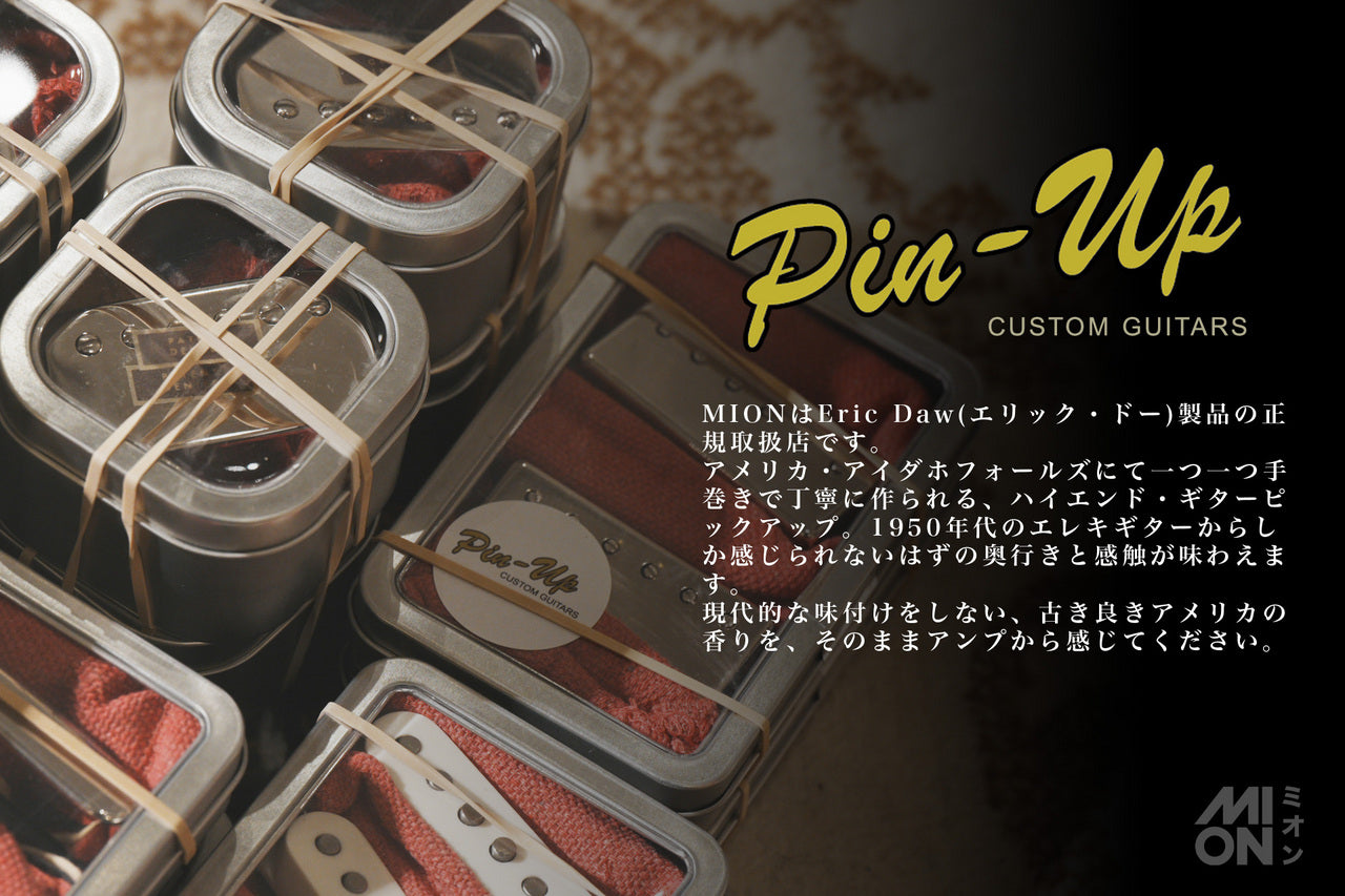 Eric Daw Custom Guitars 62 "S" Style Pickups (non RWRP for hum cancel)