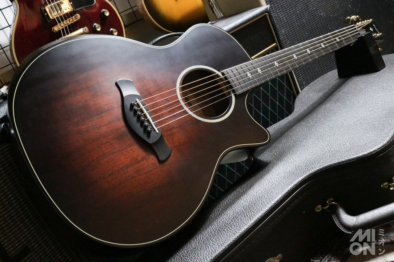 Taylor Builder's Edition 324ce 2020 [Taylor certified repair man store]