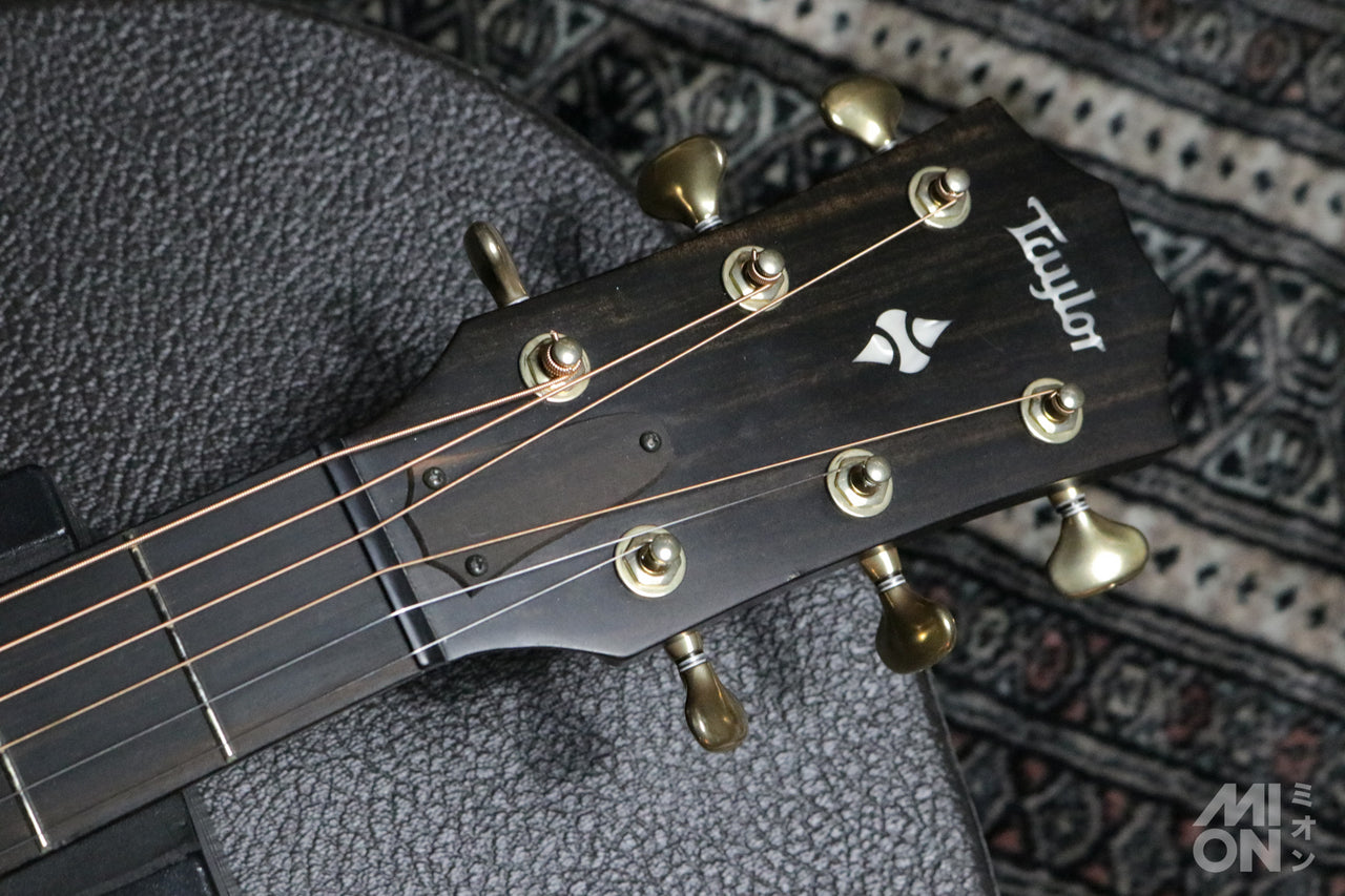 Taylor Builder's Edition 324ce 2020 [Taylor certified repair man store]