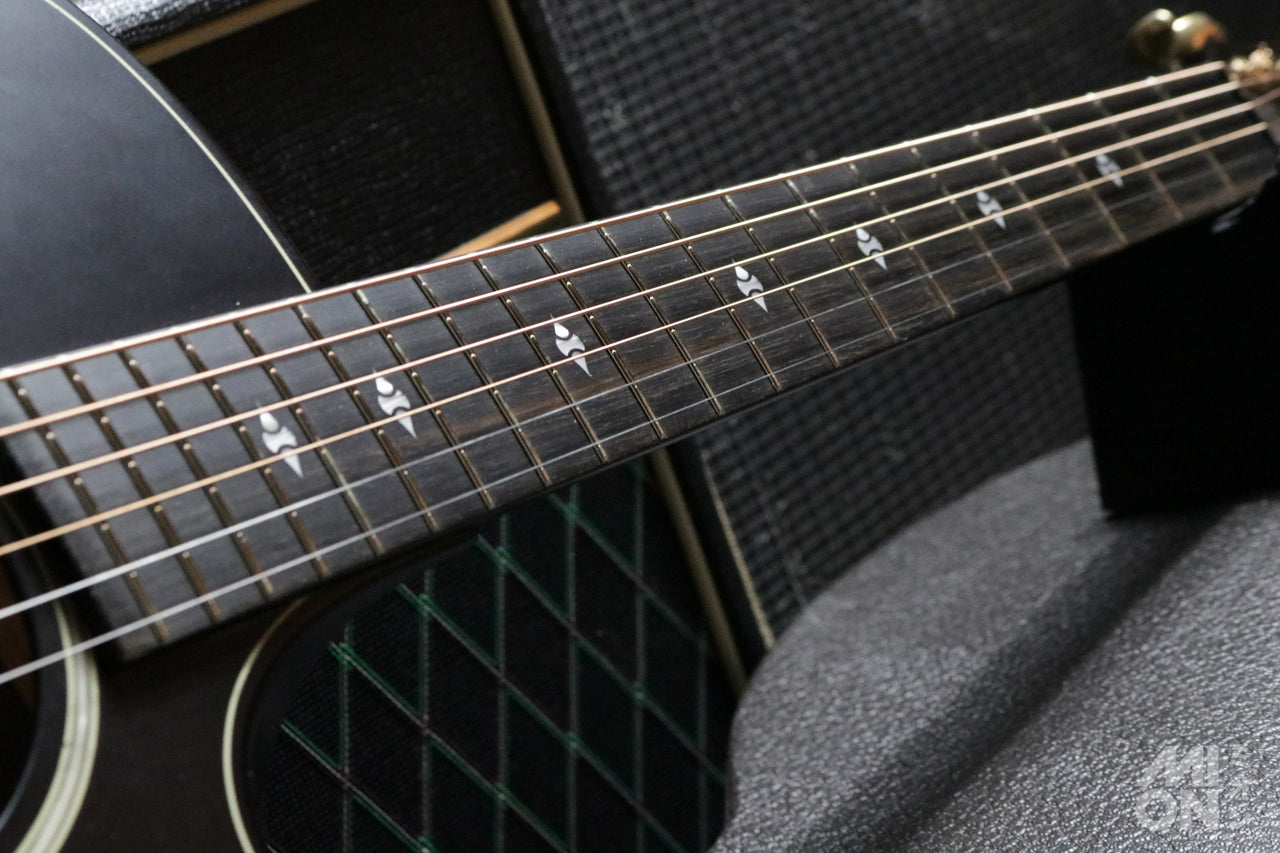 Taylor Builder's Edition 324ce 2020 [Taylor certified repair man store]