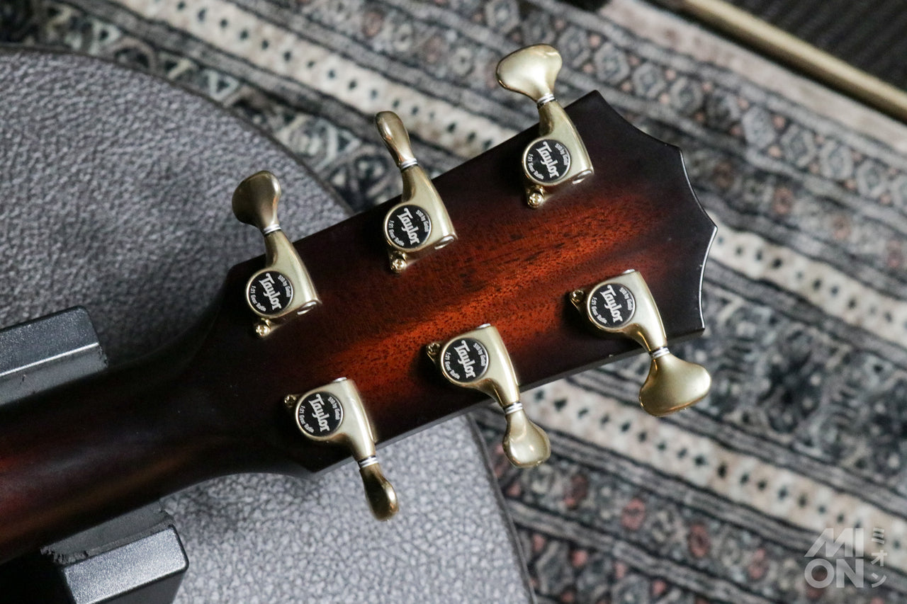 Taylor Builder's Edition 324ce 2020 [Taylor certified repair man store]