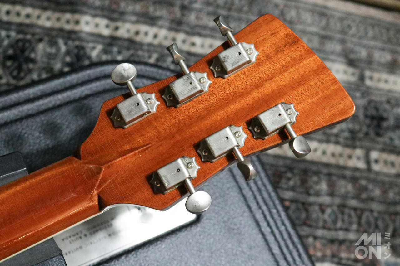 Frank Brothers [Trial video available] Arcade Thinline Sage Green 2025