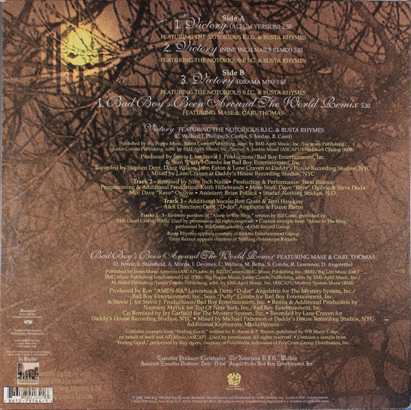Victory (Remixes)