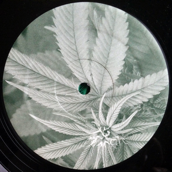 Release: Unknown Release-Vinyl-US-2005-SOD001-425296