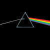 Pink Floyd - The Dark Side Of The Moon (Vinyl, LP, Album, Reissue, Remastered, Stereo) Near Mint (NM or M-) / Near Mint (NM or M-)