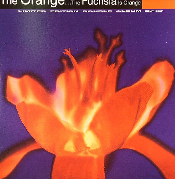 The Fuchsia Is Orange