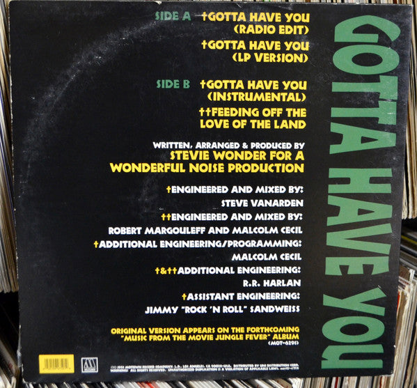 Master Release: Gotta Have You by Stevie Wonder