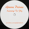 Groove Deluxe - Learning To Fly (Vinyl, 12
