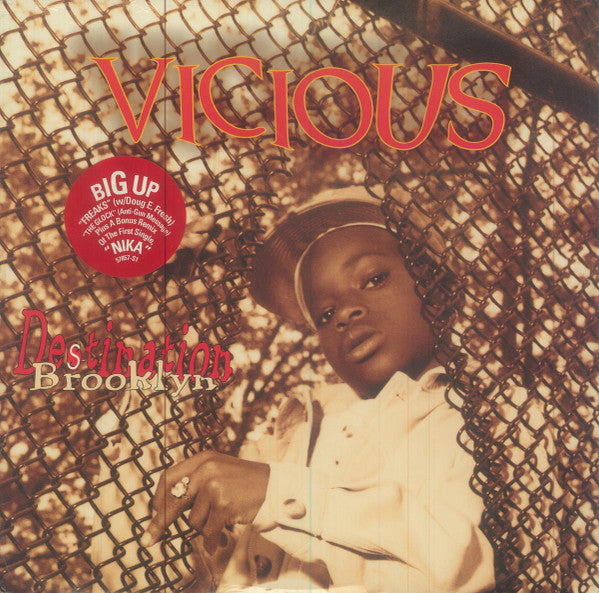Release: Destination Brooklyn-Vinyl-US-1994-E 57857-813164