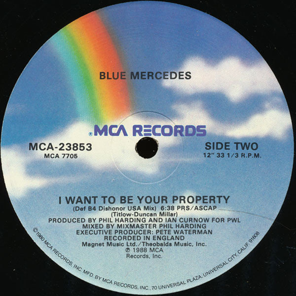 I Want To Be Your Property