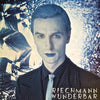 Wolfgang Riechmann - Wunderbar (Vinyl, LP, Album)