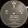 Yasuko Agawa - Other World (Vinyl, 12
