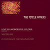 The Icicle Works - Love Is A Wonderful Colour (Vinyl, 12