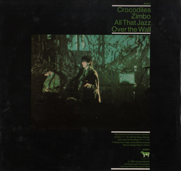 Release: Shine So Hard-Vinyl-UK-1981-ECHO 1-376590