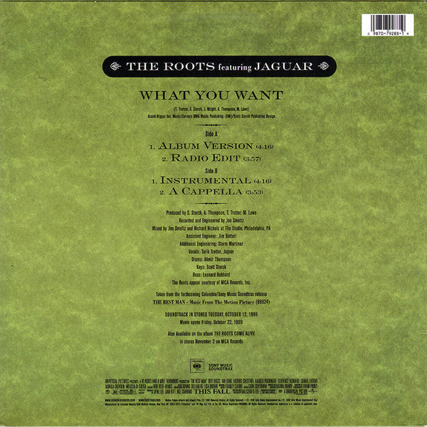 Release: What You Want-Vinyl-US-1999-44 79288, 44 79288-611938