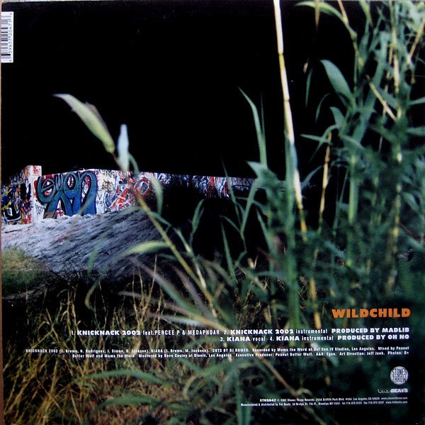 Release: Unknown Release-Vinyl-US-2002-STH2047-506043