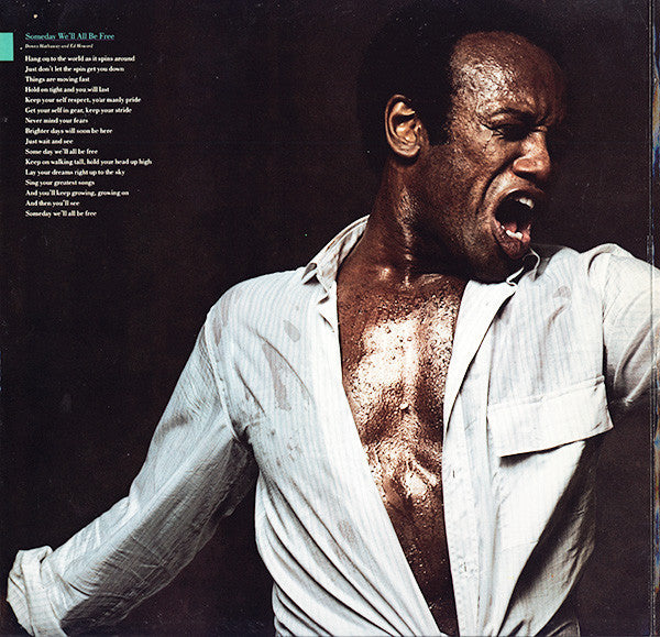 Master Release: Someday We'll All Be Free by Bobby Womack