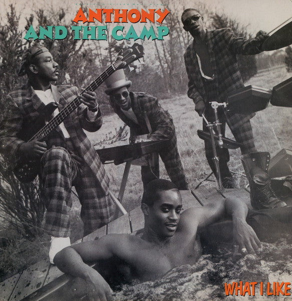 Release: What I Like-Vinyl-US-1986-0-20449-201423