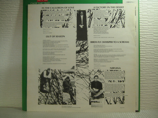 The Icicle Works